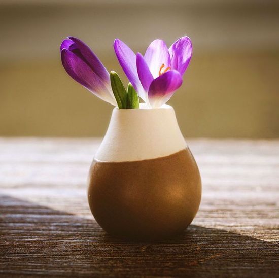 Picture of Flower vase