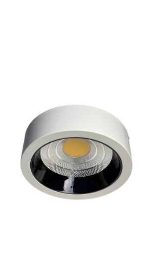 Picture of LED DOWN LIGHT