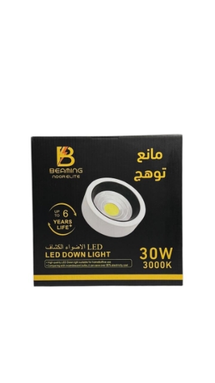 Picture of LED DOWN LIGHT