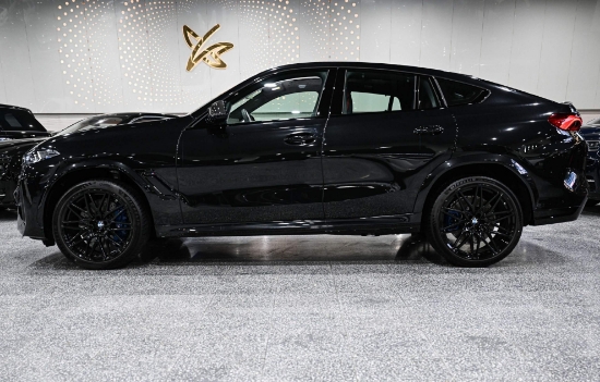 Picture of BMW X6