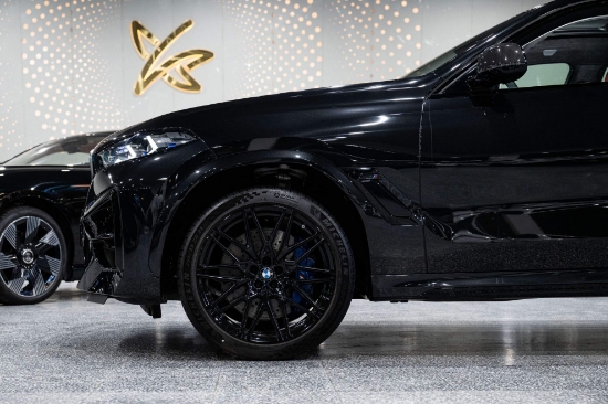 Picture of BMW X6