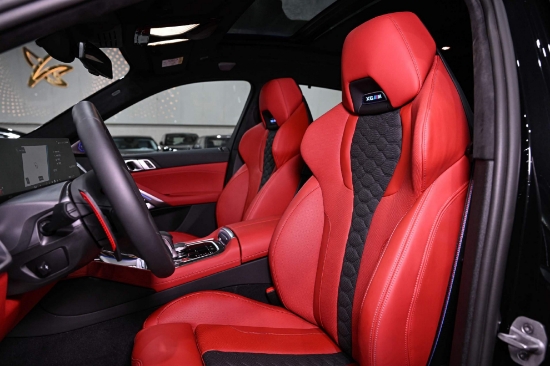 Picture of BMW X6