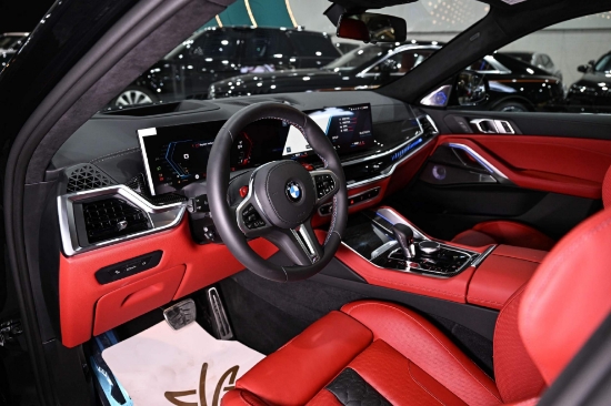 Picture of BMW X6