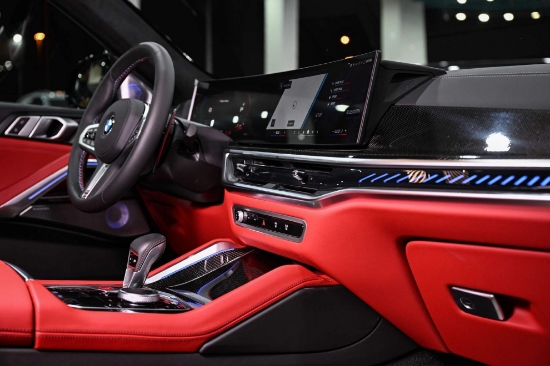 Picture of BMW X6