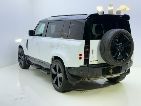 Picture of DEFENDER  S-P300