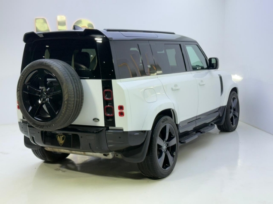Picture of DEFENDER  S-P300