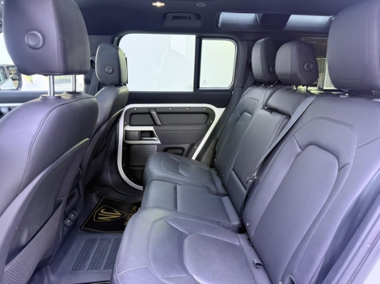 Picture of DEFENDER  S-P300