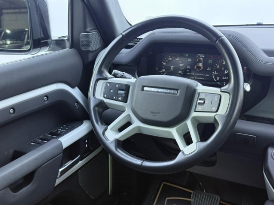 Picture of DEFENDER  S-P300