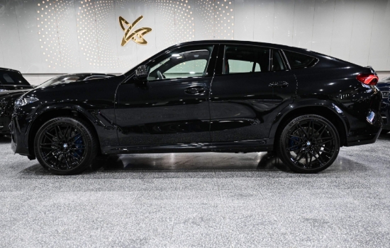 Picture of BMW X6