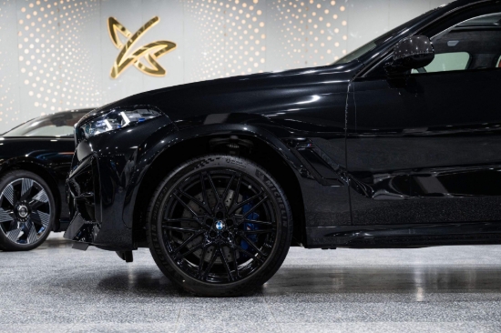 Picture of BMW X6