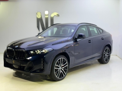 Picture of BMW X6