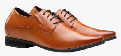 Picture of pair of brown shoes